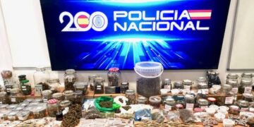 Policía Nacional desarticula una red de tráfico de drogas encubierta desde Rota