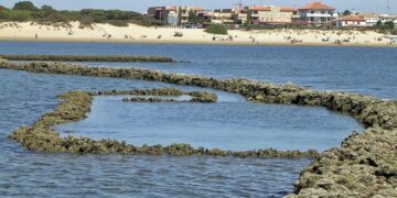 Rota renueva las certificaciones de calidad y sostenibilidad de sus Corrales de Pesca