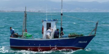 Rota se beneficiará de la formación gratuita en pesca de la Junta de Andalucía