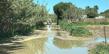 El Partido Popular pide actuar en los caminos rurales de Rota