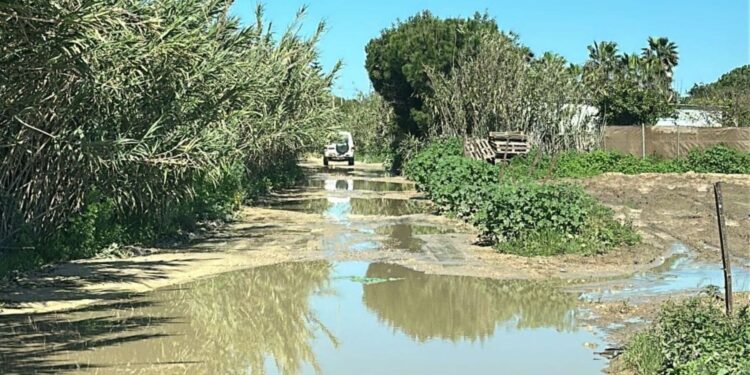 Caminos rurales de Rota
