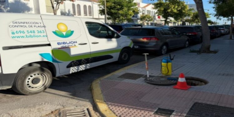 Actuación de desratización en Chipiona
