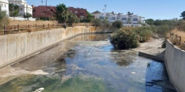 Arroyo alcántara en Rota