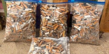 Una recogida ciudadana retira de las playas de Rota 2.000 colillas