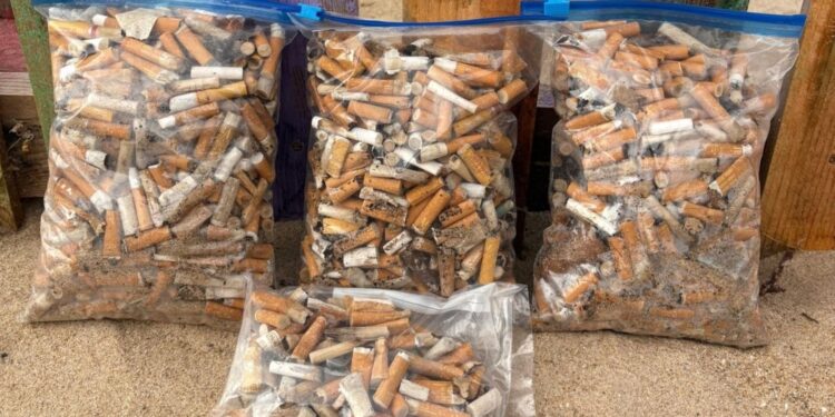 Colillas retiradas de las playas de Rota