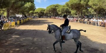 Chipiona celebra su tradicional Fiesta de La Palmicha en el Pinar de la Villa