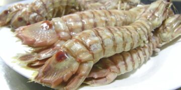 Chipiona se prepara para un fin de semana de sabor con la Ruta de la Galera y el Mosto