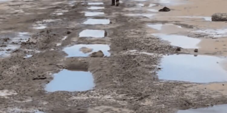 Piletas aparecidas en Punta Candor, Rota