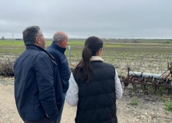 El Partido Popular alerta del grave deterioro de los caminos rurales en Rota